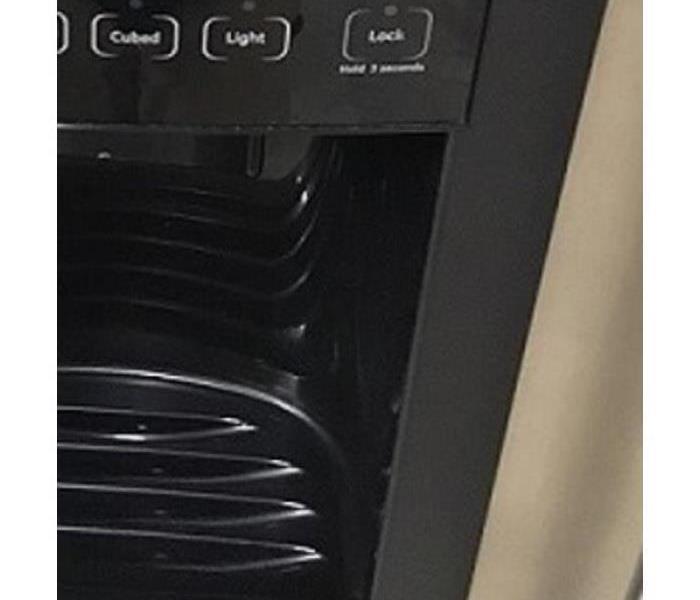 Refrigerator with no mold